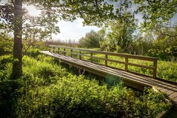 Boardwalk path through wetlands area. Kabli nature study trail. Estonia. 