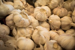 White garlic pile texture. Fresh garlic on market table closeup photo. Pile of white garlic heads. White garlic head heap top view