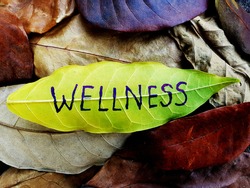 Wellness concept written on leaf