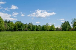 a beautiful spring decoration. Green grass, birds on the blue sky