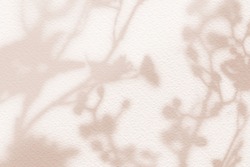 Natural flower shadows are blurred on light brown and cream color wall at home at sunrise. 