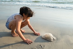 girl looking at Jellyfish on the beach in the morning