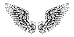 Angel wings. Bird wings. Design element for tattoo. Element for the logo.