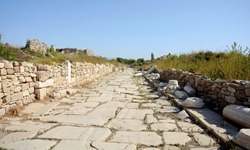 Column street. Harbor Street. Side. Turkey. Ruins of an ancient street. Column Street began behind a monumental arch, ran in a southwesterly direction and ended near the temples of Athena and Apollo