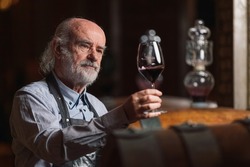 Senior man winemaker at winery checking barrels in wine cellar.