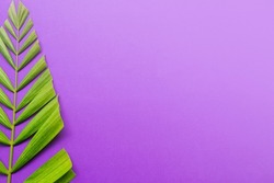 Good Friday, Palm Sunday, Ash Wednesday, Lent Season and Holy Week concept. Palm leaves on purple background.