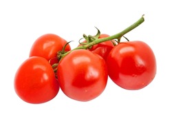 red fresh tomatoes on a green branch with leaves on a white background for your menu design or advertising brochure