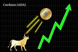Gold bull, throwing up Cardano (ADA) cryptocurrency golden coin up the trend. Bullish Cardano (ADA) chart