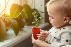 Cute little caucasian toddler boy with mother smiling and having fun holding pot with planted flower near window sill at home. Flower and nature care concept. Children and family happy childhood