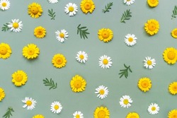 Chamomile flowers on green background. Floral pattern. Flat layer, top view.