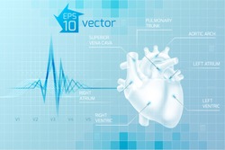 Medical care background with human heart anatomy on light blue background in digital style vector illustration