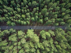 Aerial view asphalt road and green pine forest with car adventure view from above. drone shot