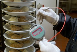 Food safety inspector measuring the temperature of cooked meals with a probe thermometer.