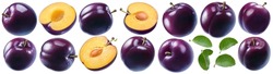 Fresh plum set isolated on white background. Package design element with clipping path