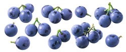 Separate grape berries set isolated on white background. Package design elements with clipping path
