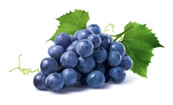 Blue grapes dry bunch isolated on white background as package design element