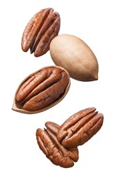 Flying pecan nuts isolated on white background. Vertical layout. Package design element with clipping path
