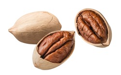 Whole and broken pecan nuts flying isolated on white background. Package design element with clipping path