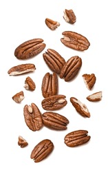 Fresh pecans isolated on white background. Nuts scattered. Top view. Vertical layout.  Package design element with clipping path