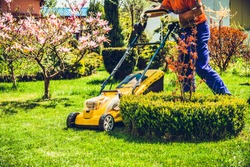 Mowing the grass. A man mows the grass with an electric mower. The concept of working in the garden and caring for the beauty of the garden. The gardener mows the grass with a battery mower. 