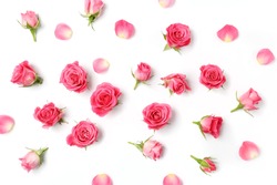 Assorted roses heads. Various soft roses and leaves scattered on a white background, overhead view. Flat lay