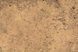 dirt and rock texture