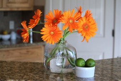 Home decor decorating with orange gerbera gerber daisy flowers