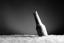 Cold beer bottle in ice on grey gradient background