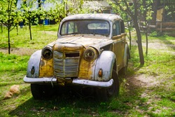 Vintage rusty passenger car in the park