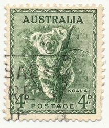 AUSTRALIA - CIRCA 1937: stamp printed by Australia, shows koala.