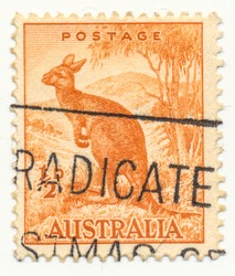 AUSTRALIA - CIRCA 1937: A stamp printed in Australia shows Orange Kangaroo.