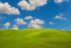 Green grass field on blue sky with cloud background. Green meadow under blue sky with clouds.                               