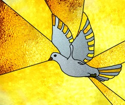 stained glass window, dove