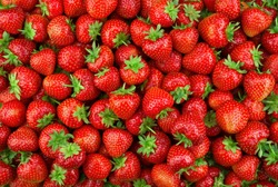 Strawberries background. Strawberry. Food background.