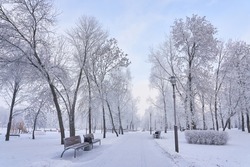 Frosty snow alley in the winter Park with benches. Trees covered with snow. Walking in the fresh air
