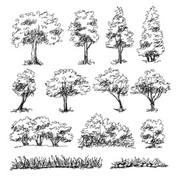 Hand drawn art of trees - Free Stock Photo by rudy liggett on ...