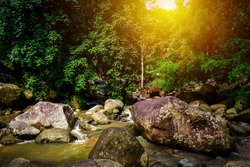 Beautiful small natural stream with many rocks among green tree in tropical rainforest. Peaceful ambience at cascade in riparian forest at Hin Lad waterfall. Top of tree with sunlight from the sky.