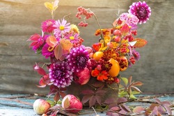 Autumn flower in fall bouquet closeup background, florist pink yellow red purple orange composition with dahlia in sunlight