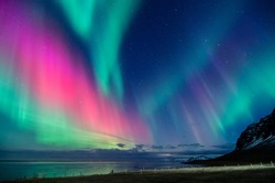 colorful northern light aurora borealis with purple, red, green and blu flames over the sky in iceland  in a beach in 