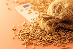 A bag of wheat is large, blurry, next to a hundred euro bill and grains of wheat scattered on the table. The concept of a fruitful year. Export and import.