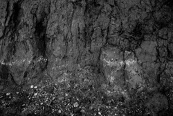 Black and white dirt texture