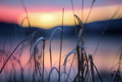 Cold winter sunset with grass covered with frost and the river Gaula as a background 