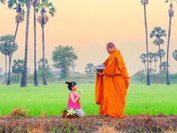 Buddhist monk walking in along rice field with palm trees going about with alms bowl to receive food and village girl giving food and flowers to monk in morning in Thailand