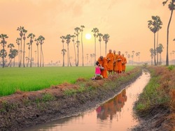 Buddhist monk walking in row across rice field with palm trees going about with alms bowl to receive food and girl giving food and flowers to monk in morning in Thailand