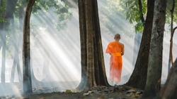 Thai or Myanmar or Cambodia Buddhist monk practice walking meditation under tree in garden of buddhist monastery or temple or Thai wat