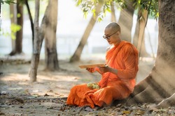 Thai or Myanmar or Cambodia Buddhist monk sitting under tree in buddhism school monastery reading and studying Buddhist lessen book