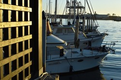 row of boats docked under beautiful natural light, where you can see a wood texture and in the background a group of boats in Ensenada Baja California