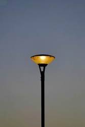 Street lights in the park at dusk with lights on