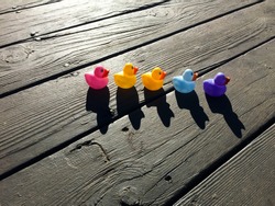 Bright afternoon sun, long shadows and 5 bright colored rubber ducks in a line on a dark wood deck, ducks in a row.