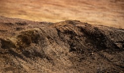 A close up of red dirt roads on Lanai, showing hills, tread marks from Jeeps and formerly muddy bumps now dry and hard. 